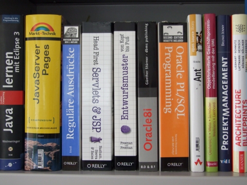 IT Bücher für Oracle Experten / Entwickler mit Java